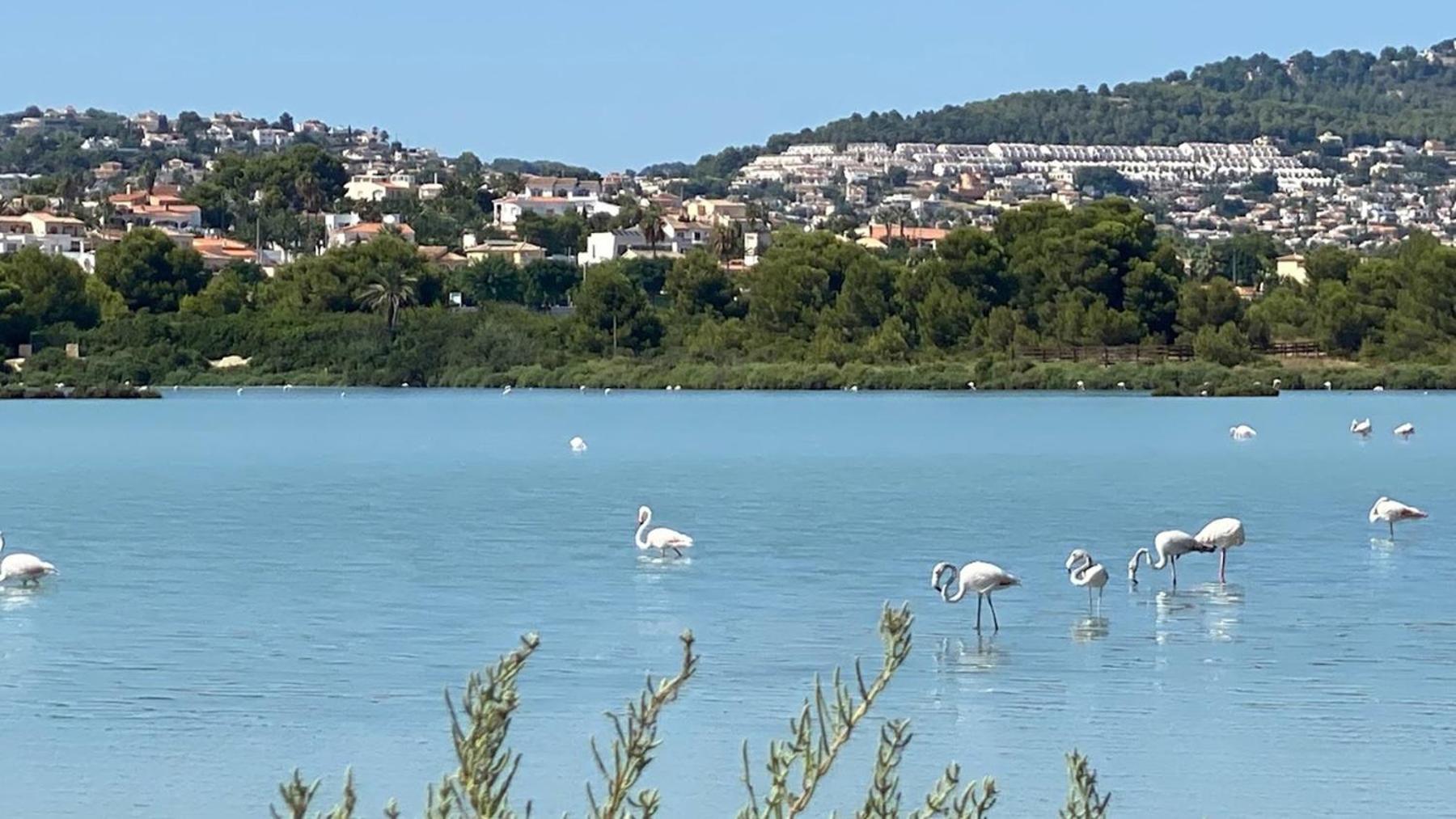 Timora Sea View New Apart' Hipocampos Calp Exterior foto
